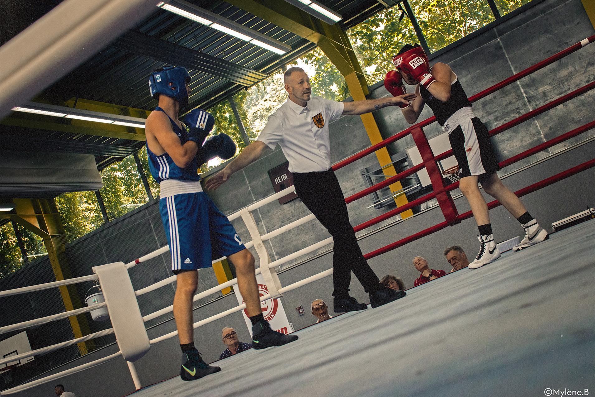 Schiedrichter zwischen zwei Boxern im Ring